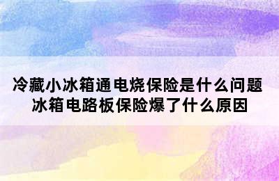 冷藏小冰箱通电烧保险是什么问题 冰箱电路板保险爆了什么原因